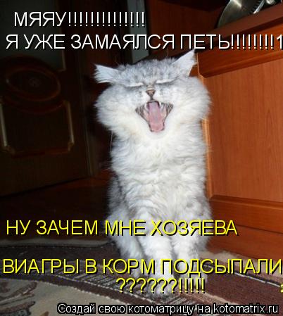 МЯЯУ!!!!!!!!!!!!!! Я УЖЕ ЗАМАЯЛСЯ ПЕТЬ!!!!!!!!1 НУ ЗАЧЕМ МНЕ ХОЗЯЕВА ВИАГРЫ В КОРМ ПОДСЫПАЛИ?! ?????... Котоматрица: МЯЯУ!!!!!!!!!!!!!! Я УЖЕ ЗАМАЯЛСЯ ПЕТЬ!!!!!!!!1 НУ ЗАЧЕМ МНЕ ХОЗЯЕВА ВИАГРЫ В КОРМ ПОДСЫПАЛИ?! ??????!!!!!