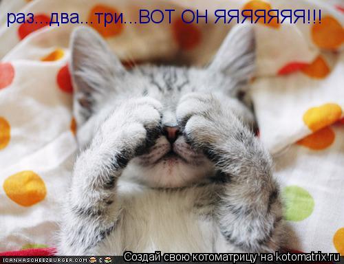 раз...два...три...ВОТ ОН ЯЯЯЯЯЯЯ!!!... Котоматрица: раз...два...три...ВОТ ОН ЯЯЯЯЯЯЯ!!!
