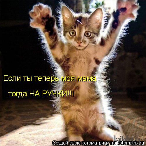 Если ты теперь моя мама .тогда НА РУЧКИ!!!... Котоматрица: Если ты теперь моя мама .тогда НА РУЧКИ!!!