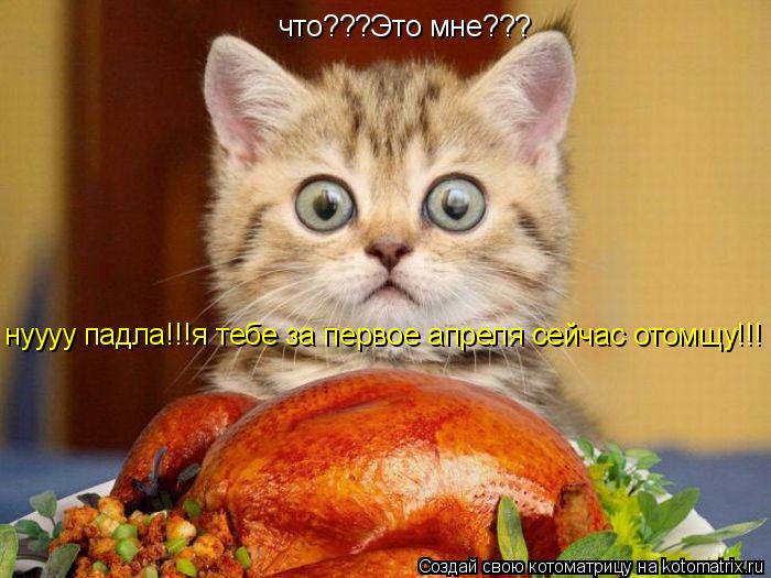 Котоматрица: что???Это мне??? нуууу падла!!!я тебе за первое апреля сейчас отомщу!!!