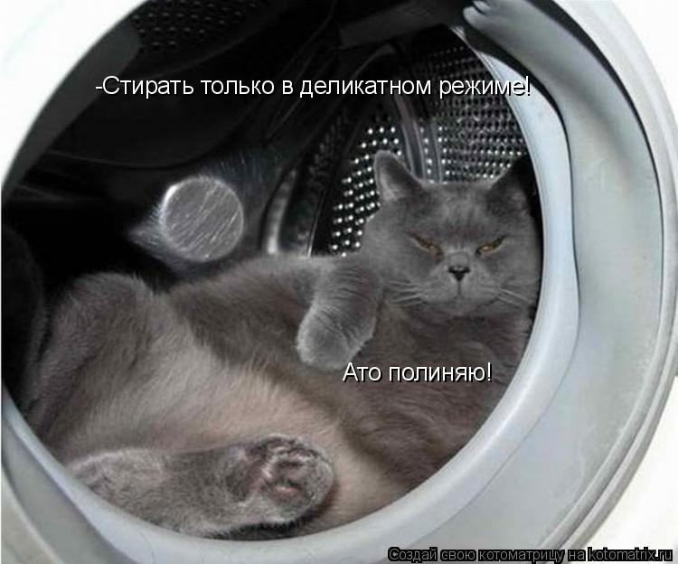 Котоматрица: -Стирать только в деликатном режиме! Ато полиняю!