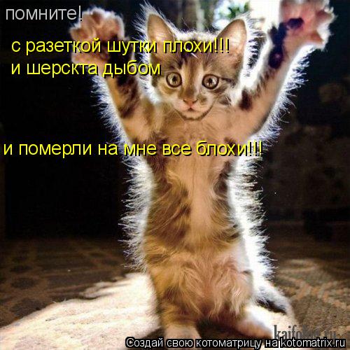 Котоматрица: помните! с разеткой шутки плохи!!! и шерскта дыбом  и померли на мне все блохи!!!