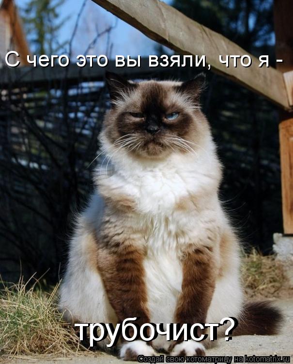Котоматрица: трубочист? трубочист? С чего это вы взяли, что я -