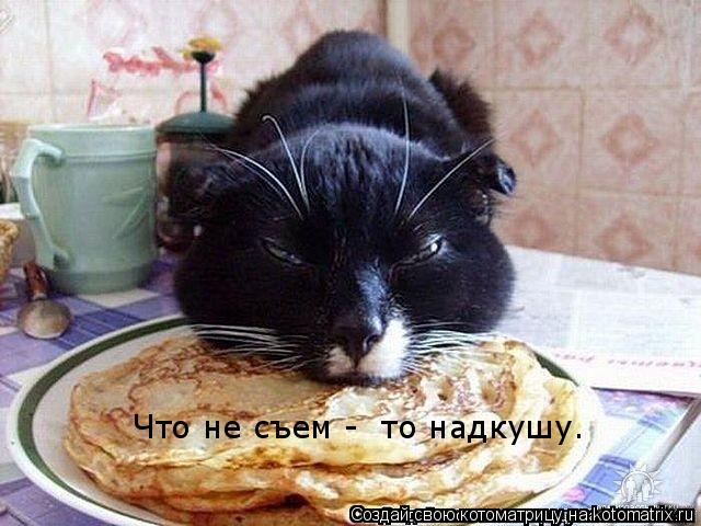 Что не съем - то надкушу.... Котоматрица: Что не съем - то надкушу.