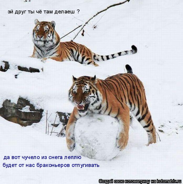 эй друг ты чё там делаеш ? да вот чучело из снега леплю будет от нас браконьеров отпугивать... Котоматрица: эй друг ты чё там делаеш ? да вот чучело из снега леплю будет от нас браконьеров отпугивать