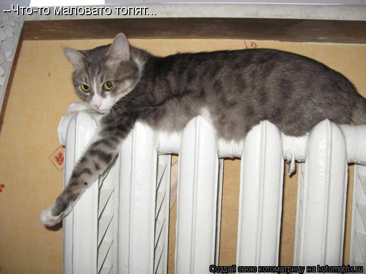 Котоматрица: --Что-то маловато топят...