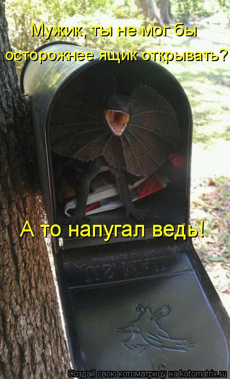 Мужик, ты не мог бы осторожнее ящик открывать? А то напугал ведь!... Котоматрица: Мужик, ты не мог бы осторожнее ящик открывать? А то напугал ведь!
