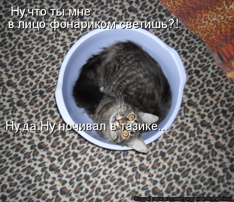 Котоматрица: Ну,что ты мне  в лицо фонариком светишь?! Ну,да.Ну ночивал в тазике..