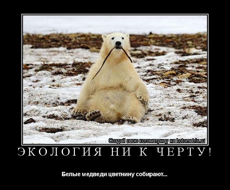 Котоматрица: Экология ни к черту! Белые медведи цветнину собирают...