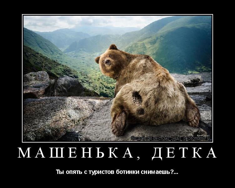 Котоматрица: Машенька, детка Ты опять с туристов ботинки снимаешь?...