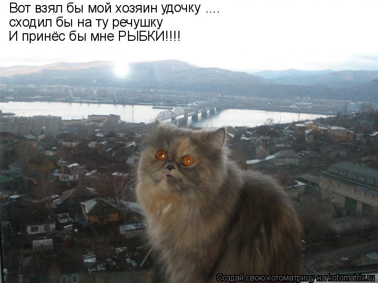 Вот взял бы мой хозяин удочку .... сходил бы на ту речушку И принёс бы мне РЫБКИ!!!!... Котоматрица: Вот взял бы мой хозяин удочку .... сходил бы на ту речушку И принёс бы мне РЫБКИ!!!!