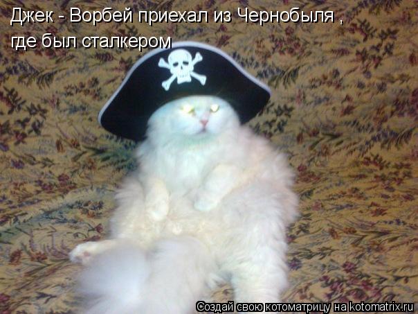 Джек - Ворбей приехал из Чернобыля , где был сталкером... Котоматрица: Джек - Ворбей приехал из Чернобыля , где был сталкером