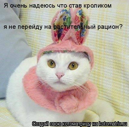 Я очень надеюсь что став кроликом я не перейду на растительный рацион?... Котоматрица: Я очень надеюсь что став кроликом я не перейду на растительный рацион?