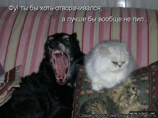 Фу! ты бы хоть отворачивался, а лучше бы вообще не пил...... Котоматрица: Фу! ты бы хоть отворачивался, а лучше бы вообще не пил...