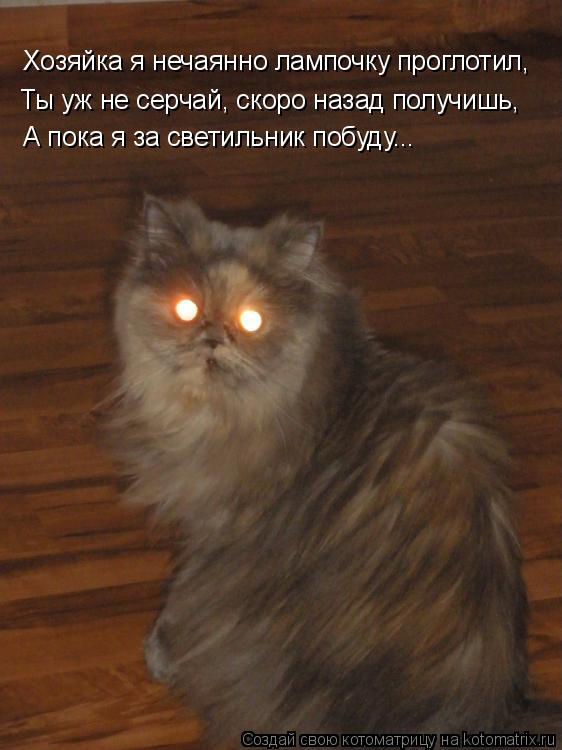 Хозяйка я нечаянно лампочку проглотил, Ты уж не серчай, скоро назад получишь, А пока я за светильник ... Котоматрица: Хозяйка я нечаянно лампочку проглотил, Ты уж не серчай, скоро назад получишь, А пока я за светильник побуду...