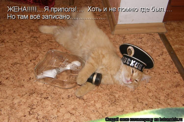 Котоматрица: ЖЕНА!!!!!....Я приполз!.... Хоть и не помню где был..... Но там всё записано....................