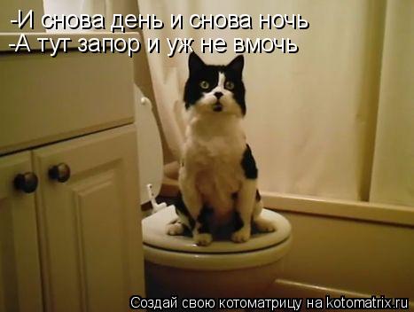 Котоматрица: -И снова день и снова ночь -А тут запор и уж не вмочь