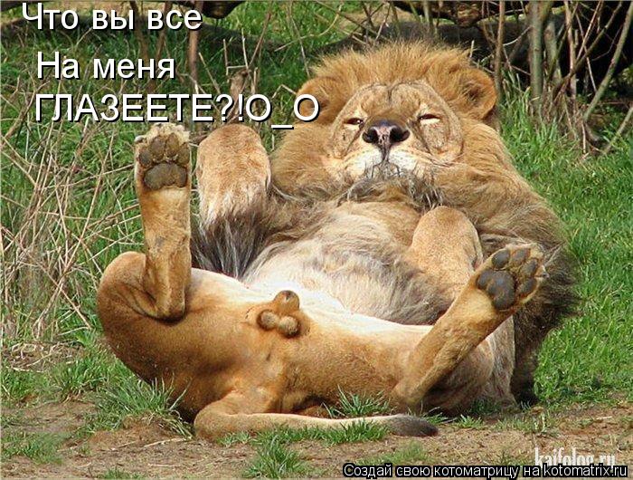 Котоматрица: Что вы все  На меня   ГЛАЗЕЕТЕ?!О_О