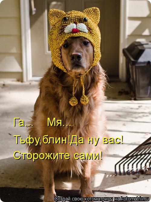 Га... Мя... Сторожите сами! Тьфу,блин!Да ну вас!... Котоматрица: Га... Мя... Сторожите сами! Тьфу,блин!Да ну вас!
