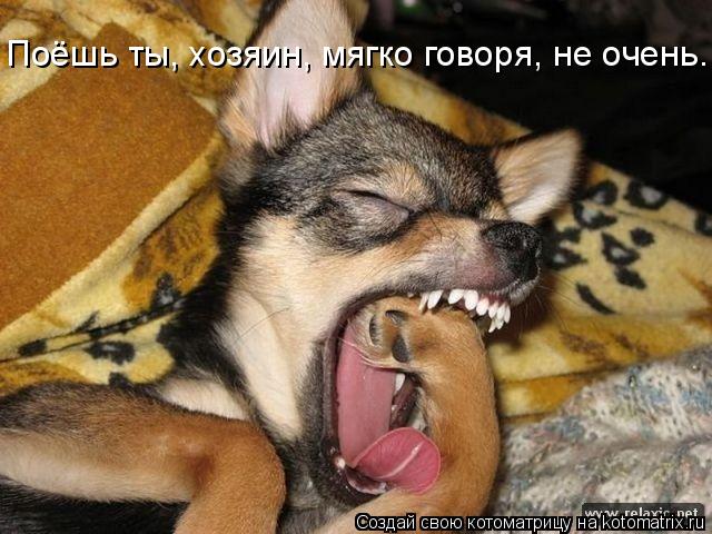Котоматрица: Поёшь ты, хозяин, мягко говоря, не очень.