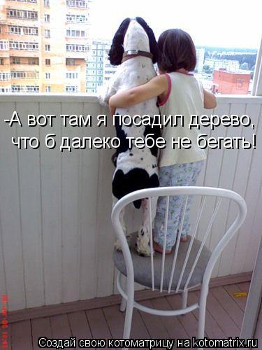 -А вот там я посадил дерево, что б далеко тебе не бегать!... Котоматрица: -А вот там я посадил дерево, что б далеко тебе не бегать!