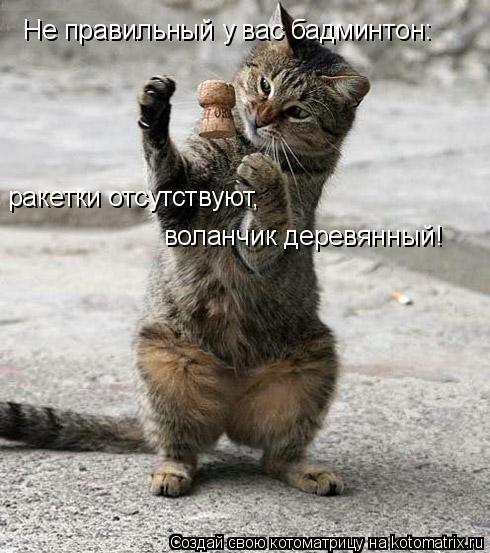 Котоматрица: Не правильный у вас бадминтон: ракетки отсутствуют, воланчик деревянный!