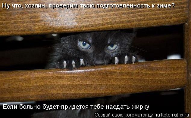 Ну что, хозяин, проверим твою подготовленность к зиме? Если больно будет-придется тебе наедать жирку... Котоматрица: Ну что, хозяин, проверим твою подготовленность к зиме? Если больно будет-придется тебе наедать жирку
