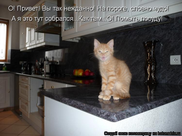 О! Привет! Вы так нежданно! На пороге, словно чудо! А я это тут собрался...Как там...О! Помыть посуду... Котоматрица: О! Привет! Вы так нежданно! На пороге, словно чудо! А я это тут собрался...Как там...О! Помыть посуду!