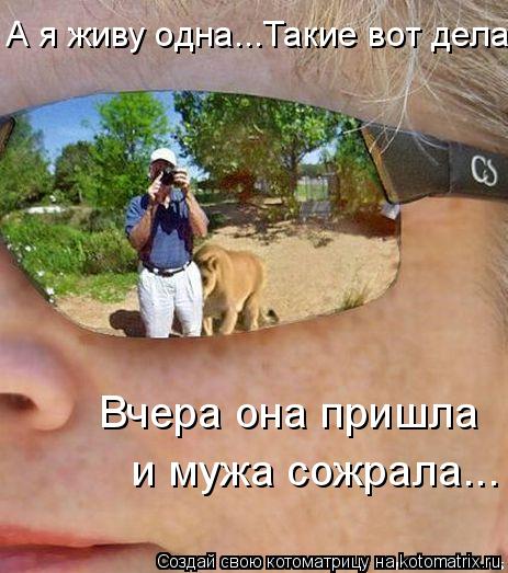 А я живу одна...Такие вот дела... Вчера она пришла и мужа сожрала...... Котоматрица: А я живу одна...Такие вот дела... Вчера она пришла и мужа сожрала...