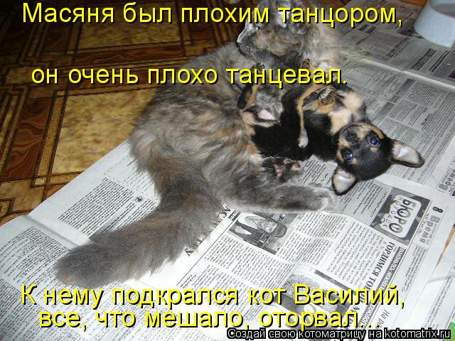 Котоматрица: К нему подкрался кот Василий,  все, что мешало, оторвал... Масяня был плохим танцором,  он очень плохо танцевал.