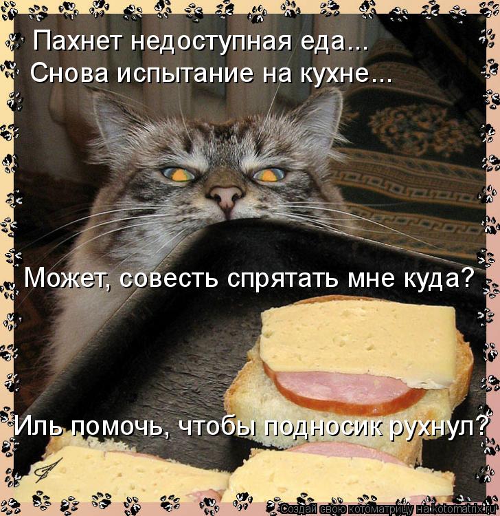 Котоматрица: Пахнет недоступная еда... Снова испытание на кухне... Может, совесть спрятать мне куда?  Иль помочь, чтобы подносик рухнул?