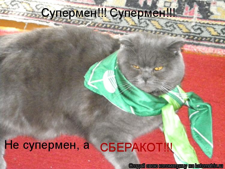 Супермен!!! Супермен!!! Не супермен, а СБЕРАКОТ!!!... Котоматрица: Супермен!!! Супермен!!! Не супермен, а СБЕРАКОТ!!!