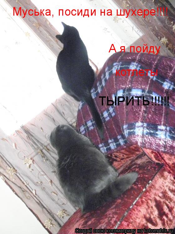 Муська, посиди на шухере!!!! А я пойду котлеты ТЫРИТЬ!!!!!!... Котоматрица: Муська, посиди на шухере!!!! А я пойду котлеты ТЫРИТЬ!!!!!!