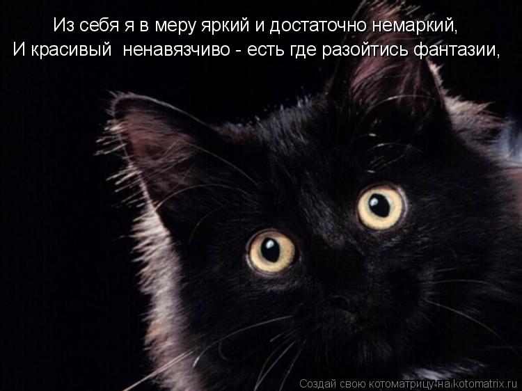 Котоматрица: Из себя я в меру яркий и достаточно немаркий, И красивый  ненавязчиво - есть где разойтись фантазии,