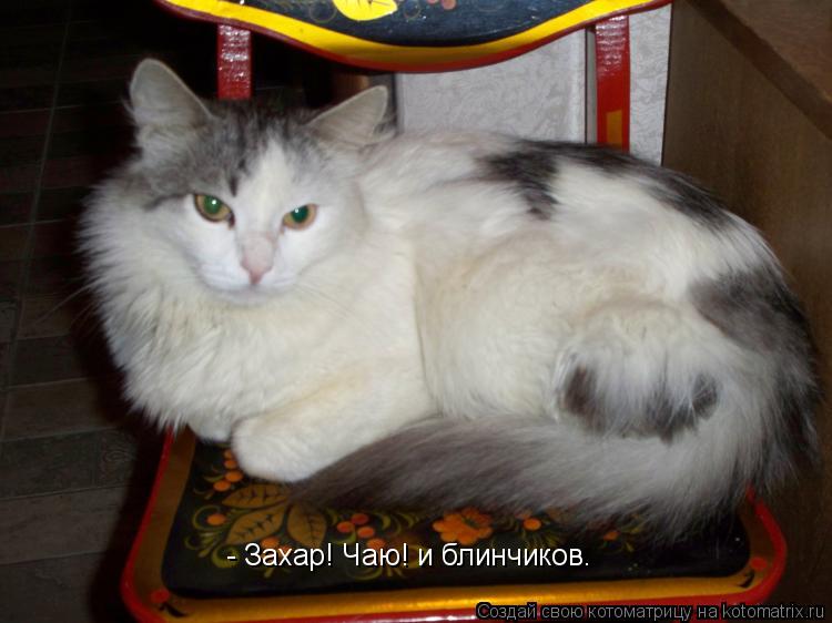- Захар! Чаю! и блинчиков.... Котоматрица: - Захар! Чаю! и блинчиков.