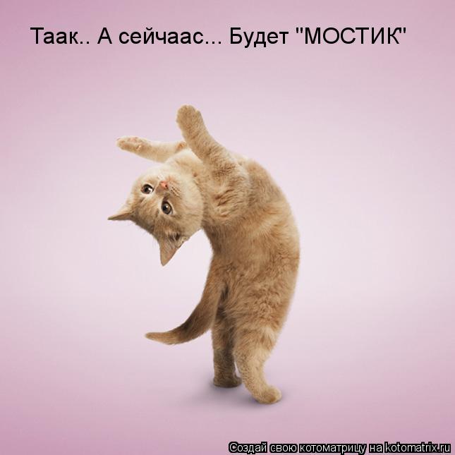 Таак.. А сейчаас... Будет "МОСТИК"... Котоматрица: Таак.. А сейчаас... Будет "МОСТИК"