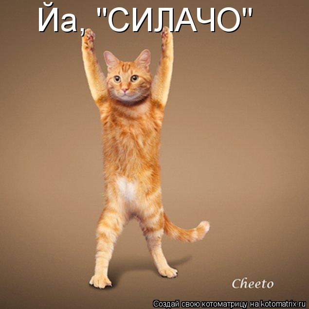 Йа, "СИЛАЧО"... Котоматрица: Йа, "СИЛАЧО"