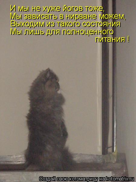 И мы не хуже йогов тоже, Мы зависать в нирване можем, Выходим из такого состояния Мы лишь для полноце... Котоматрица: И мы не хуже йогов тоже, Мы зависать в нирване можем, Выходим из такого состояния Мы лишь для полноценного питания !