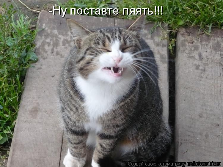-Ну поставте пяять!!!... Котоматрица: -Ну поставте пяять!!!