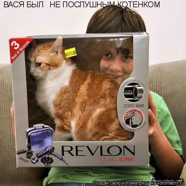 ВАСЯ БЫЛ НЕ ПОСЛУШНЫМ КОТЕНКОМ... Котоматрица: ВАСЯ БЫЛ НЕ ПОСЛУШНЫМ КОТЕНКОМ