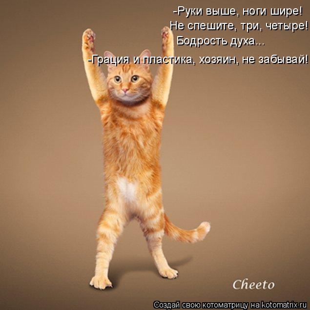 Котоматрица: -Руки выше, ноги шире! Не спешите, три, четыре! Бодрость духа... -Грация и пластика, хозяин, не забывай!