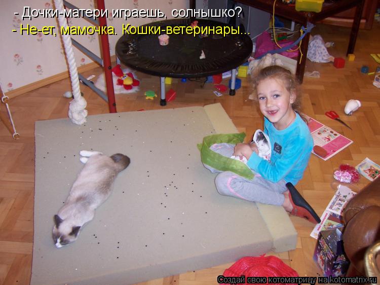 Котоматрица: - Дочки-матери играешь, солнышко? - Не-ет, мамочка. Кошки-ветеринары...