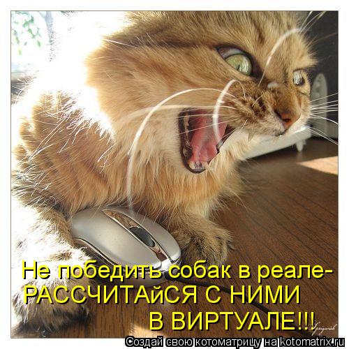 Не победить собак в реале- РАССЧИТАйСЯ С НИМИ В ВИРТУАЛЕ!!!... Котоматрица: Не победить собак в реале- РАССЧИТАйСЯ С НИМИ В ВИРТУАЛЕ!!!