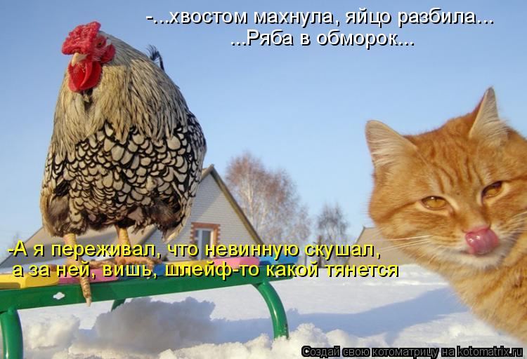 Котоматрица: -...хвостом махнула, яйцо разбила... ...Ряба в обморок... -А я переживал, что невинную скушал, а за ней, вишь, шлейф-то какой тянется