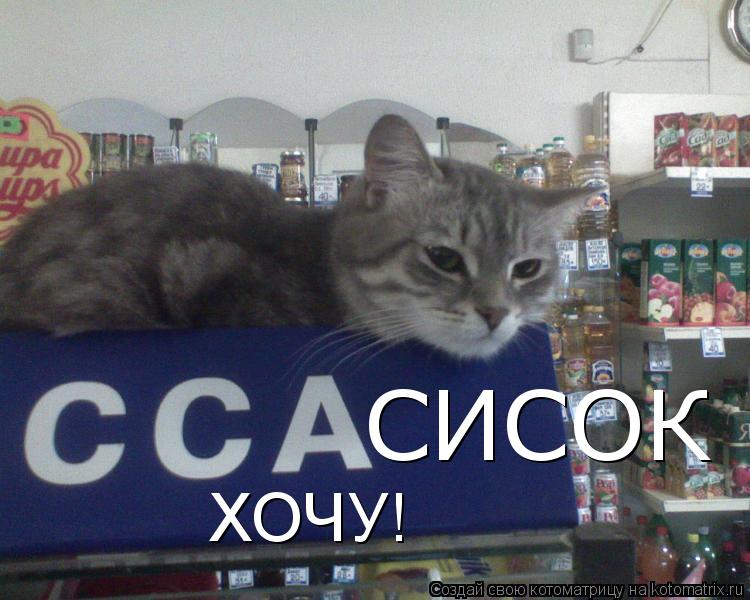 Котоматрица: СИСОК ХОЧУ!