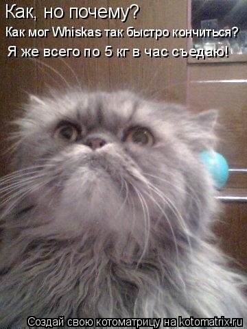 Как, но почему? Как мог Whiskas так быстро кончиться? Я же всего по 5 кг в час съедаю!... Котоматрица: Как, но почему? Как мог Whiskas так быстро кончиться? Я же всего по 5 кг в час съедаю!