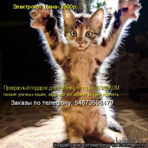 Котоматрица: Электрокот. Цена- 2500р. Прекрасный подарок для ребенка, который СЛИШКОМ тискает уличных кошек, ведь этот кот сможет за себя постоять. Заказы 