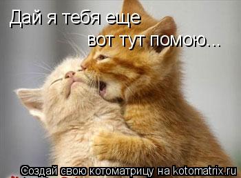 Дай я тебя еще вот тут помою...... Котоматрица: Дай я тебя еще вот тут помою...