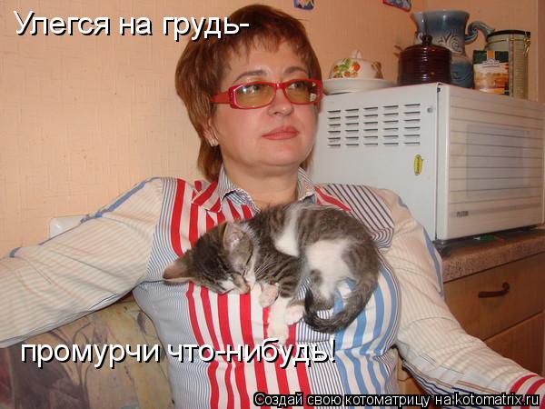 Улегся на грудь- промурчи что-нибудь!... Котоматрица: Улегся на грудь- промурчи что-нибудь!