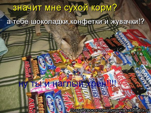 Котоматрица: значит мне сухой корм? а тебе шоколадки,конфетки и жувачки!? ну ты и наглый хрен!!!!